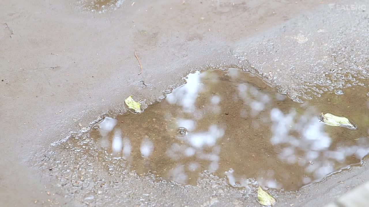 FSDSS-268 | 突然下暴風雨被淋濕，露出胸罩讓男學生超興奮而女教師遭到侵犯  天使萌 | 阿寶影音-成人影片,AV,JAV-專注精品‧長久經營