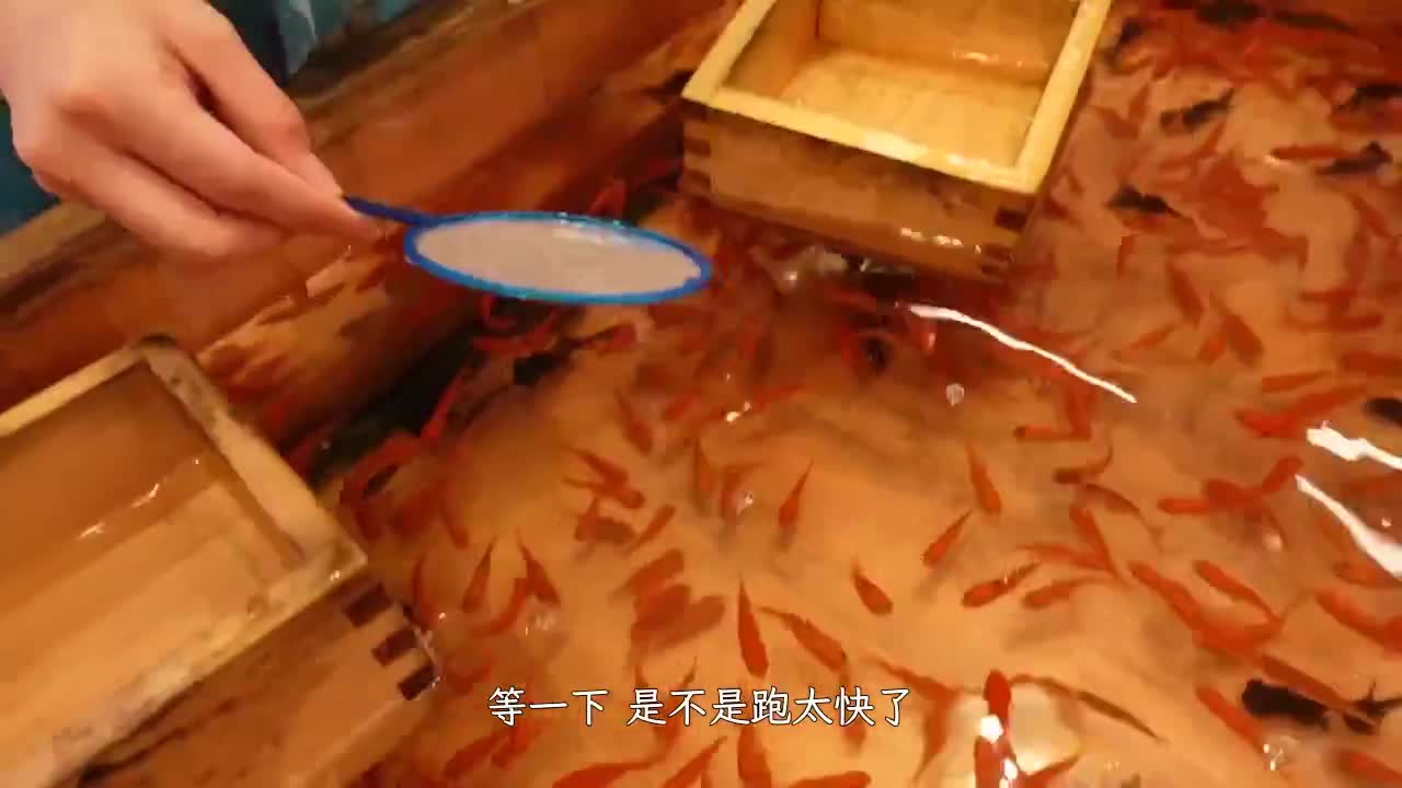 300MAAN-728 | 【樸素系蘿莉美少女情慾大覺醒】【穿著浴衣淺草散步時露出的奧娜交涉】【人生第一次手淫竟然是潮吹! ?】【不洋氣的尖刻身體背德感MAX】【出乎意料的敏感的小穴插入大絕頂! !】~帶來了激宇醬。# 3 ~ | 阿寶影音-成人影片,AV,JAV-專注精品‧長久經營