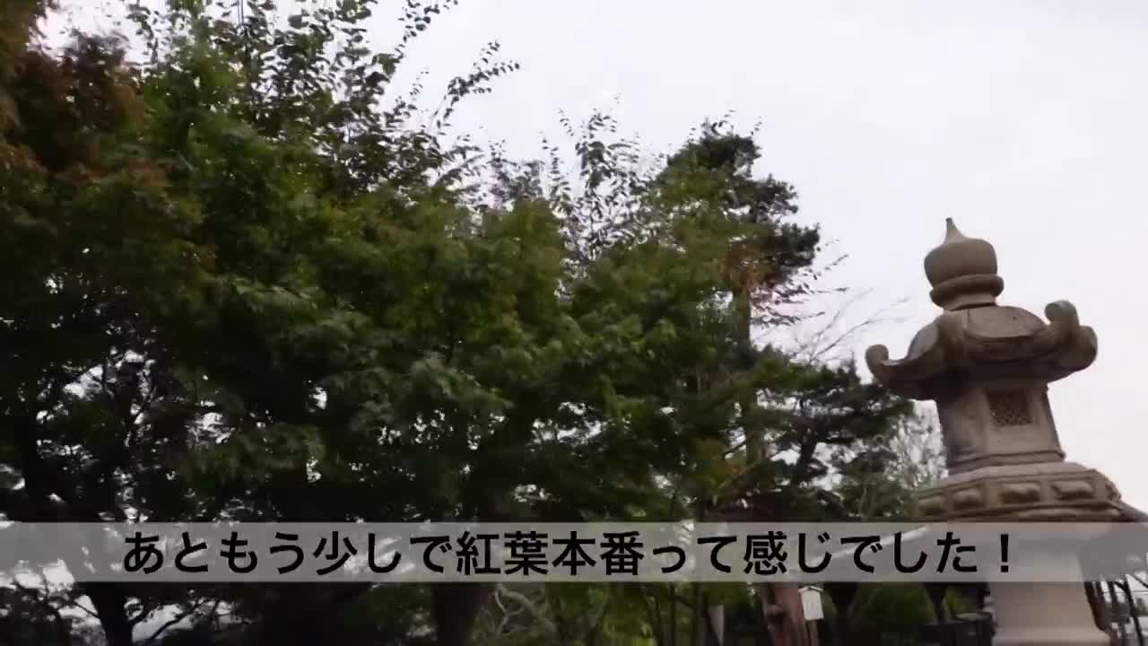 535LOG-006 | 【個人攝影】質樸而讓人想要守護的女孩。和這樣驕傲的女朋友在鎌倉約會!一直笑著開心地走在男朋友旁邊，是令人羨慕的恩愛情侶!一進酒店兩人就…。用浴衣的帶子拘束電刀玩弄的話對和平時不同的快感尖叫高潮!雖然看起來... | 阿寶影音-成人影片,AV,JAV-專注精品‧長久經營