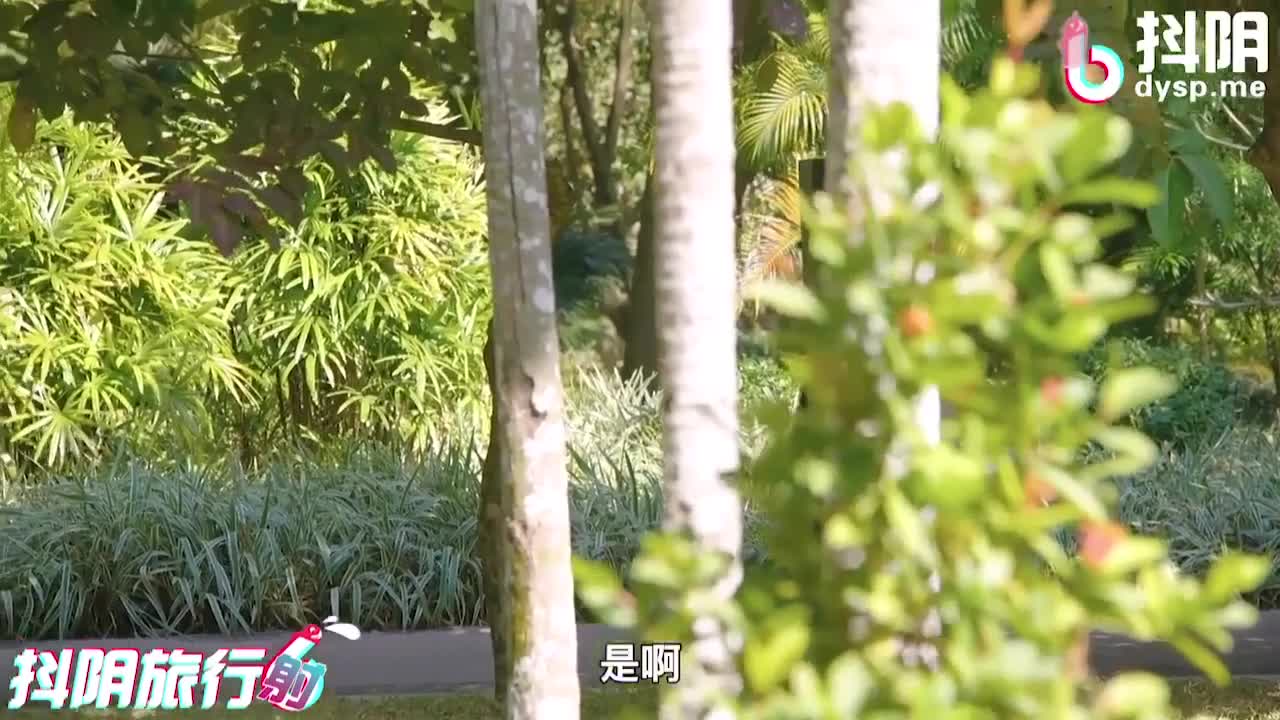 DYTM012 | 抖陰旅行射 第12期 真實景區勾引路人做愛 | 阿寶影音-成人影片,AV,JAV-專注精品‧長久經營
