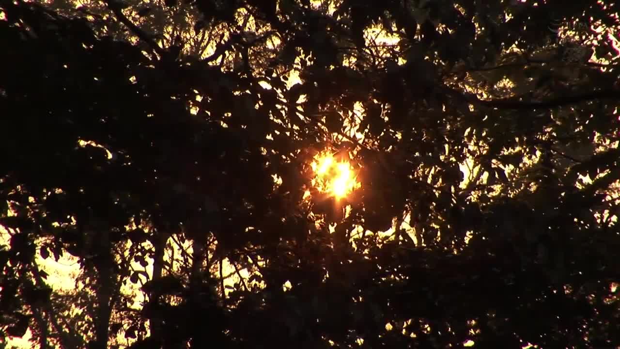 DASD-958 | 【人格崩壊】被最討厭的前男友灌了春藥，女友顫抖身體流著口水滿身精子。春藥性愛反仰苗條身體高潮 篠田優 | 阿寶影音-成人影片,AV,JAV-專注精品‧長久經營