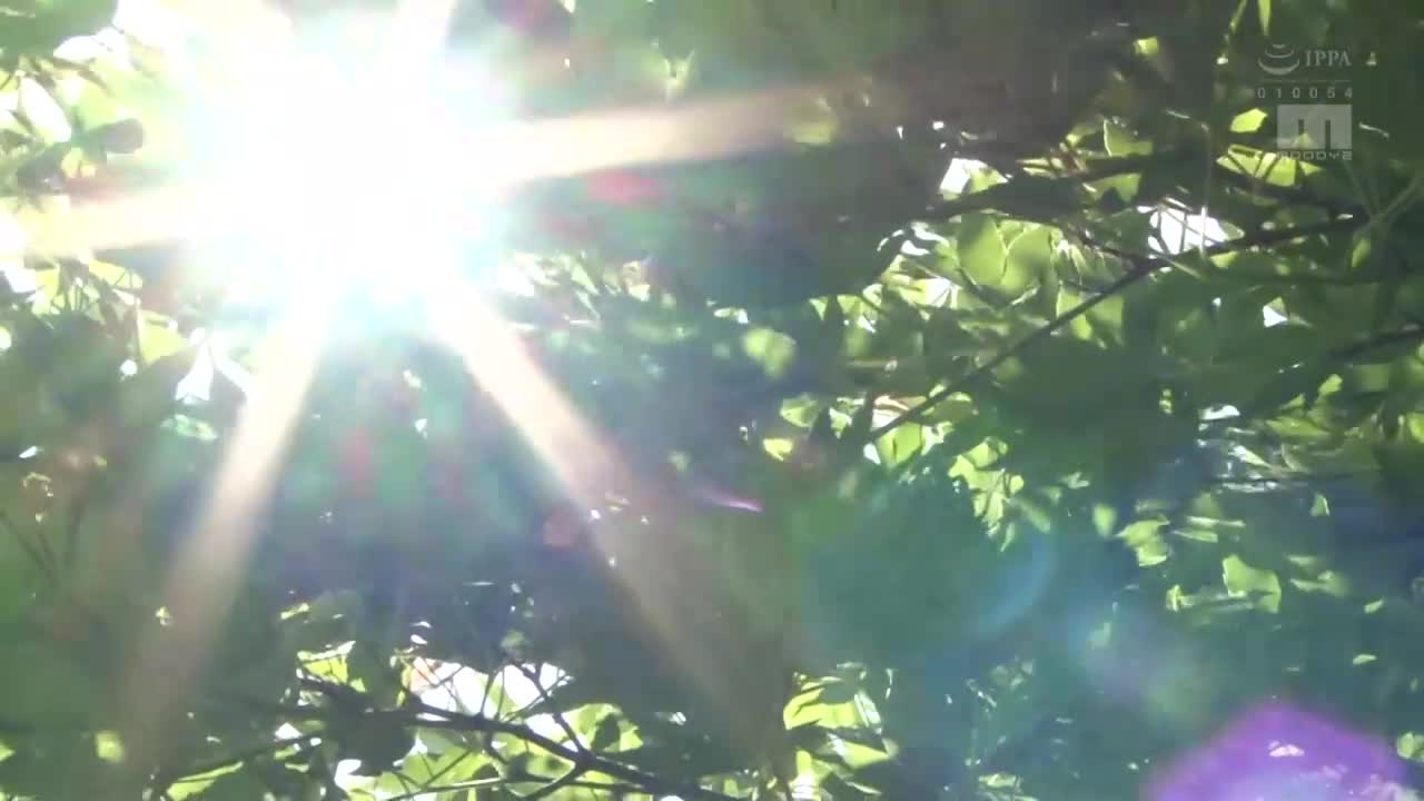 MIDV-063 | 輸給朋友寫真偶像姊姊誘惑的我 三田サクラ | 阿寶影音-成人影片,AV,JAV-專注精品‧長久經營