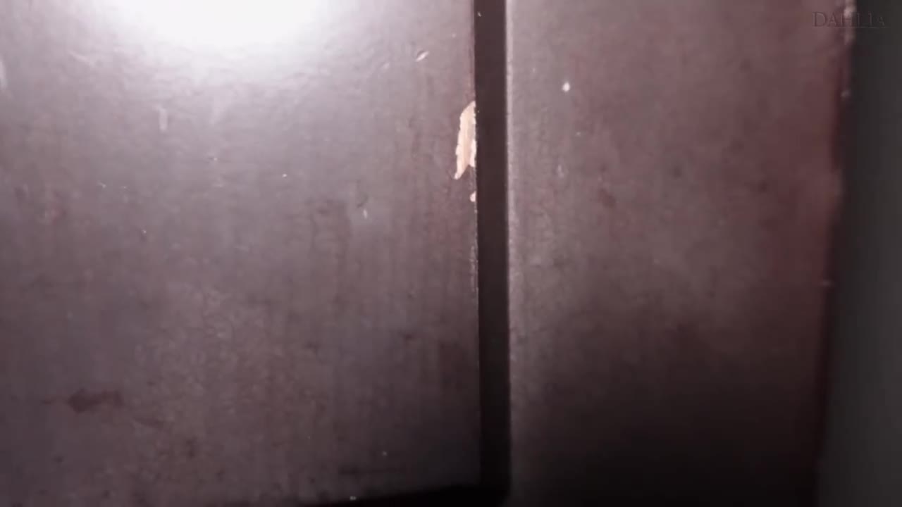 DLDSS-124 | 被陌生的男人們輪姦、老公就在旁邊 橘京花 | 阿寶影音-成人影片,AV,JAV-專注精品‧長久經營