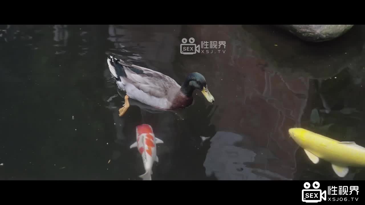 XSJ136 | 八艷淫新之孤柱一擲以身亦物：馬湘蘭 | 阿寶影音-成人影片,AV,JAV-專注精品‧長久經營